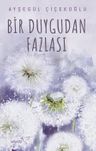 Bir Duygudan Fazlası