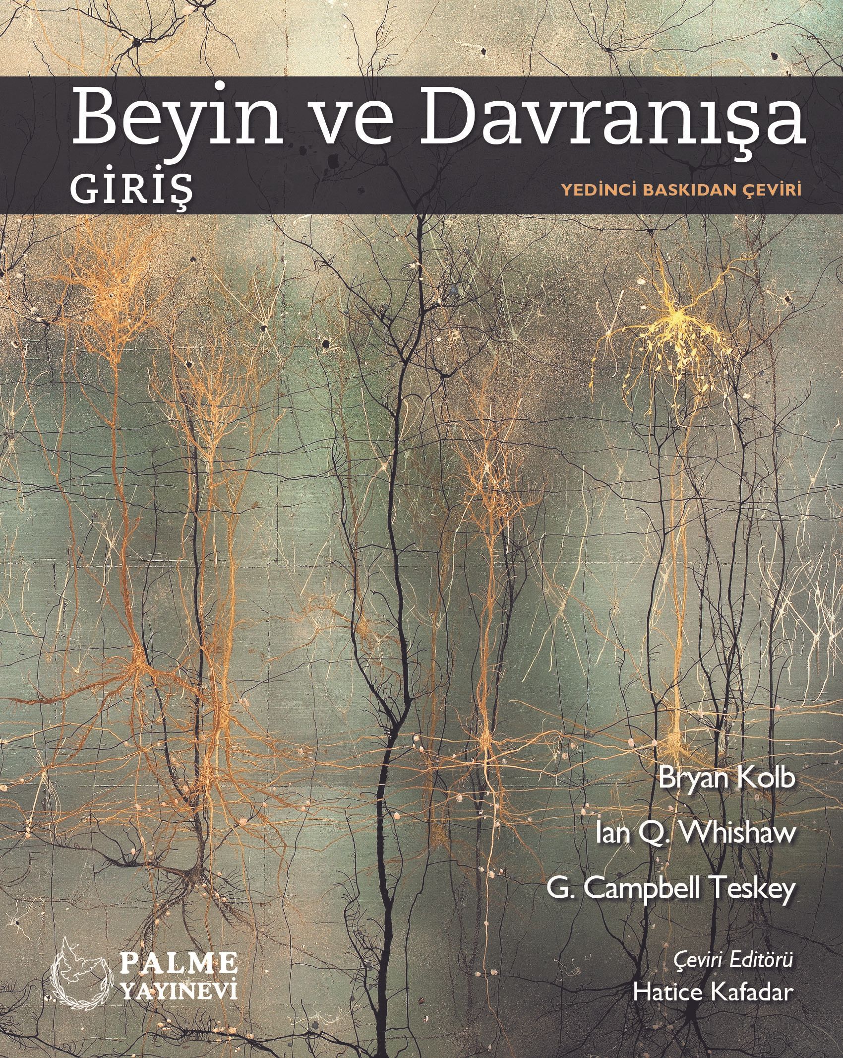 Beyin ve Davranışa Giriş (Bryan Kolb) Fiyatı, Yorumları, Satın Al