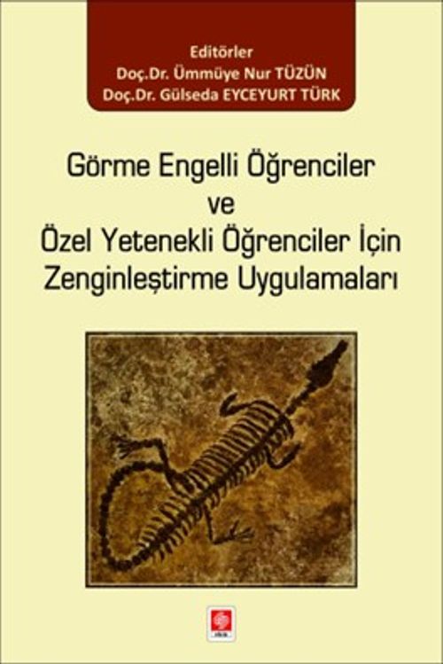 Görme Engelli Öğrenciler ve Özel Yetenekli Öğrenciler için Zenginleştirme Uygulamaları 