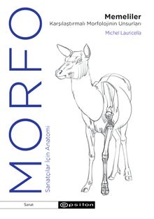 Morfo & Memeliler Karşılaştırmalı Morfolojinin Unsurları