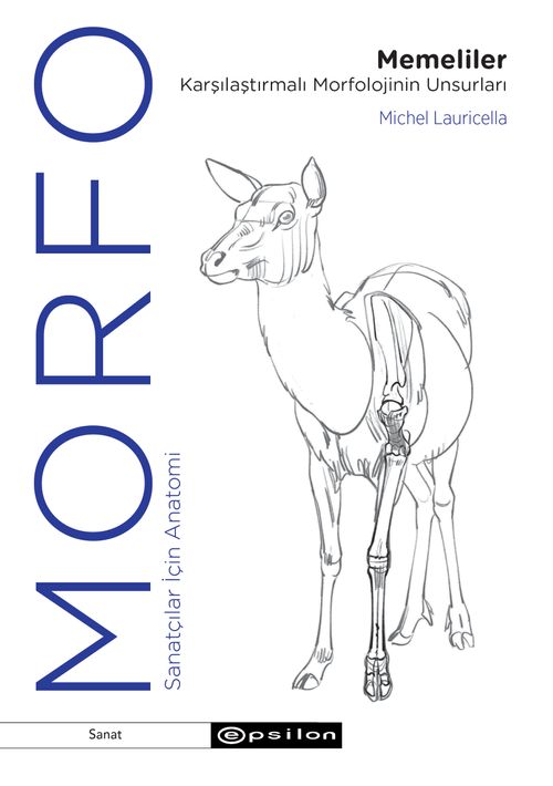 Morfo & Memeliler Karşılaştırmalı Morfolojinin Unsurları