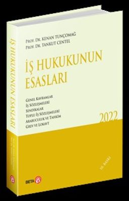 İş Hukukunun Esasları
