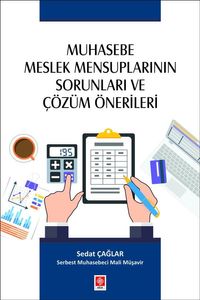 Muhasebe Meslek Mensuplarının Sorunları ve Çözüm Önerileri