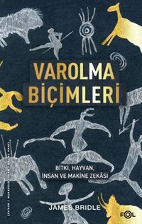 Varolma Biçimleri & Bitki, Hayvan, İnsan ve Makine Zekası