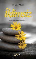 İklimsiz