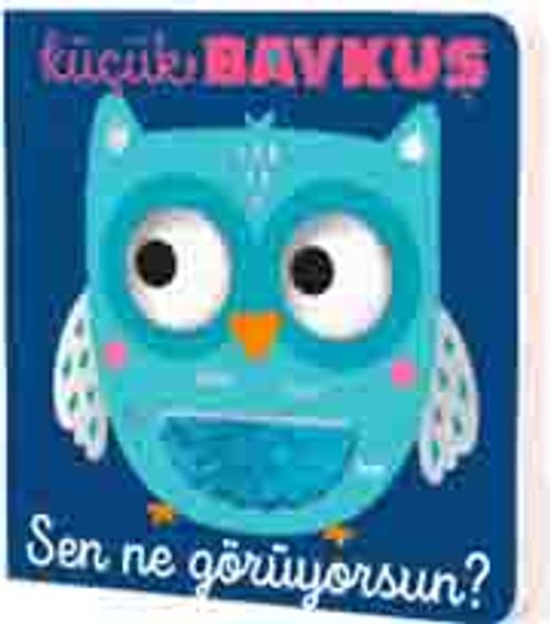 Küçük Baykuş Sen Ne Görüyorsun?
