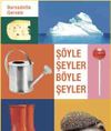 Ş&ouml;yle Şeyler B&ouml;yle Şeyler