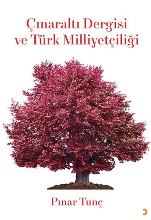Çınaraltı Dergisi ve Türk Milliyetçiliği 