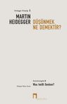 Düşünmek Ne Demektir