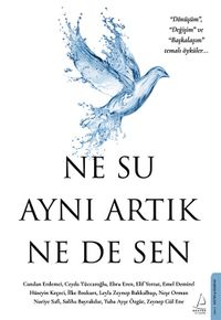 Ne Su Aynı Artık Ne de Sen