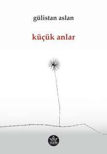 Küçük Anlar