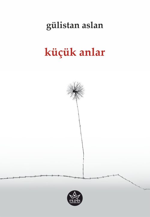 Küçük Anlar