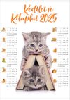 2025 Takvimli Poster - Kediler ve Kitaplar - Kitap Ev