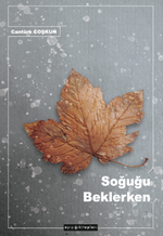 Soğuğu Beklerken