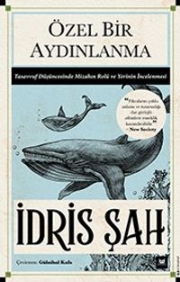 Özel Bir Aydınlanma