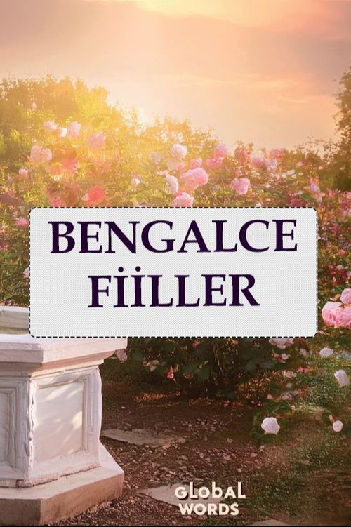 Bengalce Fiiller