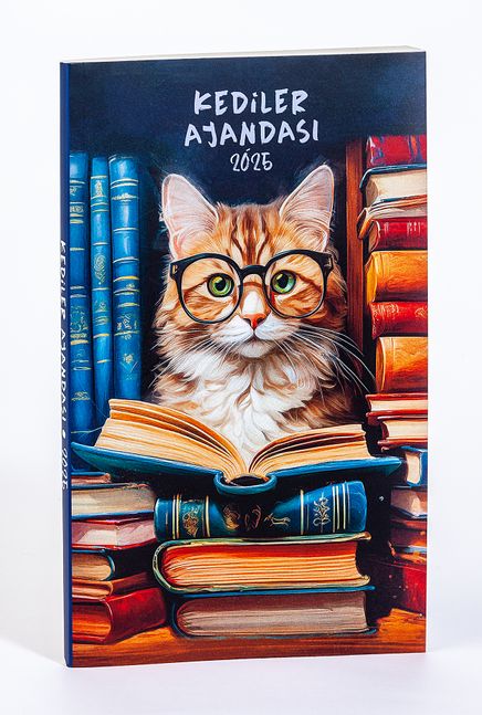 2025 Kediler Ajandası (Büyük Boy)