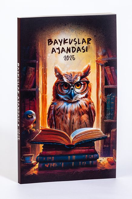 2025 Baykuşlar Ajandası (Büyük Boy)