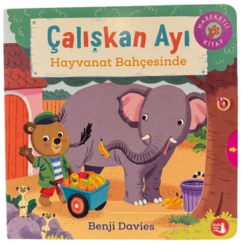 Çalışkan Ayı / Hayvanat Bahçesinde