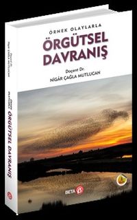 Örnek Olaylarla Örgütsel Davranış