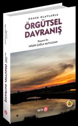 Örnek Olaylarla Örgütsel Davranış