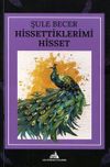 Hissettiklerimi Hisset