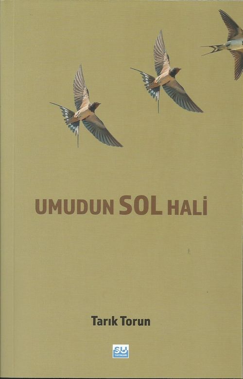 Umudun Sol Hali
