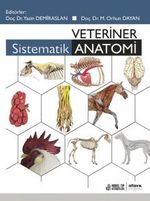 Veteriner Sistematik Anatomi