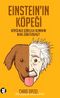 Einstein'ın Köpeği & Köpeğinize Görelilik Kuramını Nasıl Öğretirsiniz?