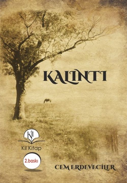 Kalıntı