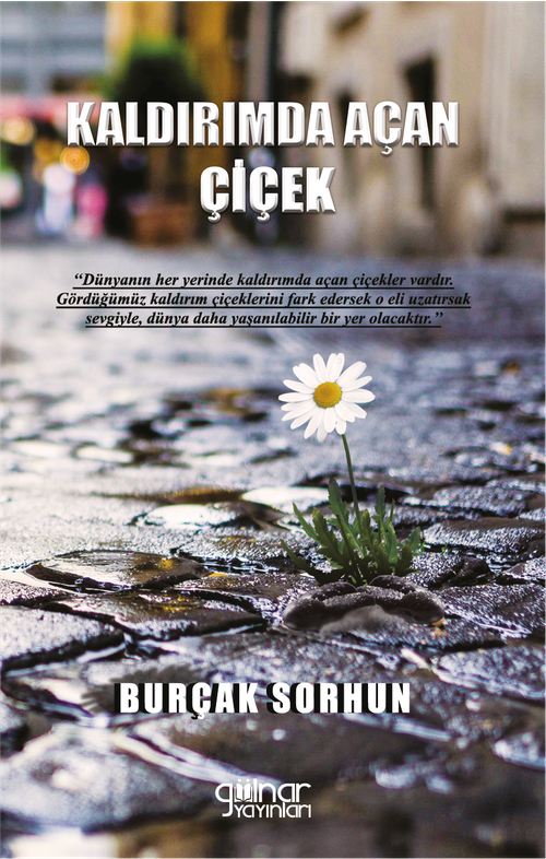 Kaldırımda Açan Çiçek