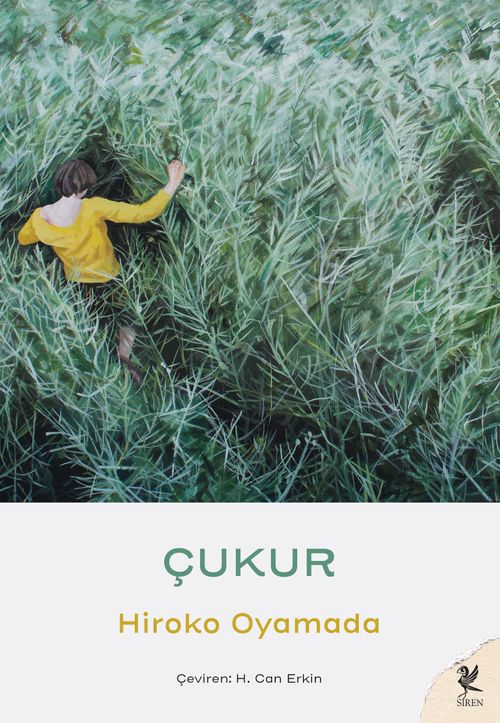 Çukur