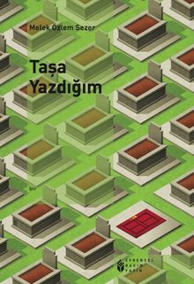 Taşa Yazdığım