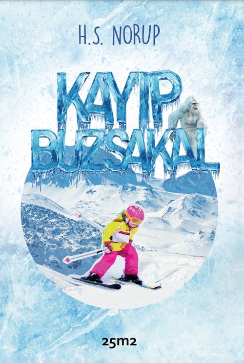 Kayıp Buzsakal