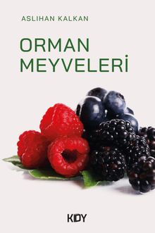 Orman Meyveleri