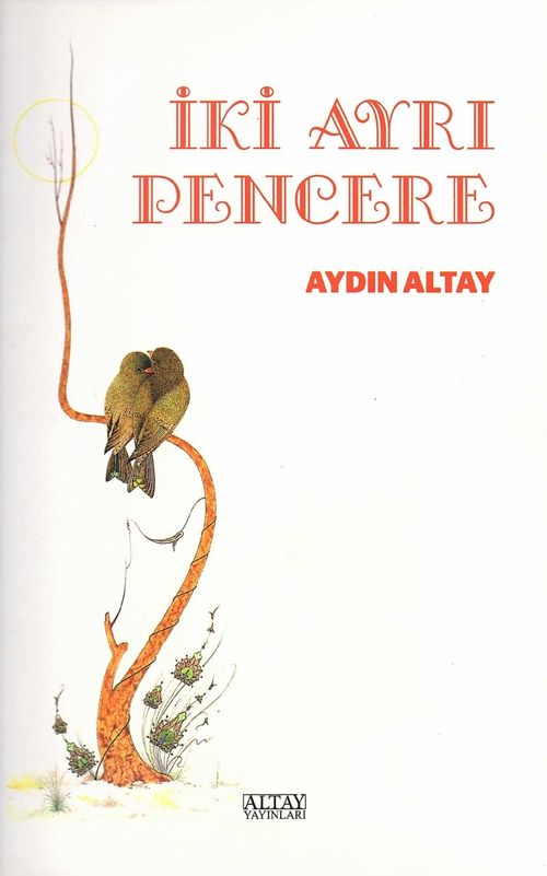 İki Ayrı Pencere 