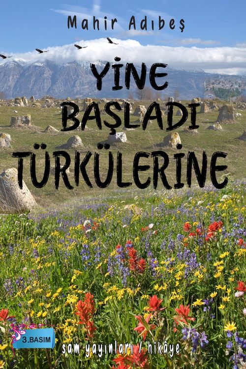 Yine Başladı Türkülerine