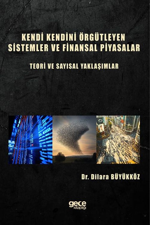 Kendi Kendini Örgütleyen Sistemler ve Finansal Piyasalar : Teori ve Sayısal Yaklaşımlar