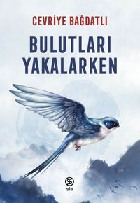 Bulutları Yakalarken