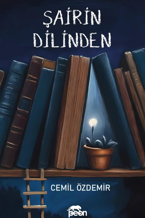 Şairin Dilinden
