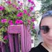 Helloegece