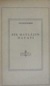 Bir Haylazın Hayatı / 11-Z-228