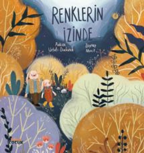 Renklerin İzinde