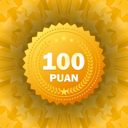 100 Kitapyurdu Puan