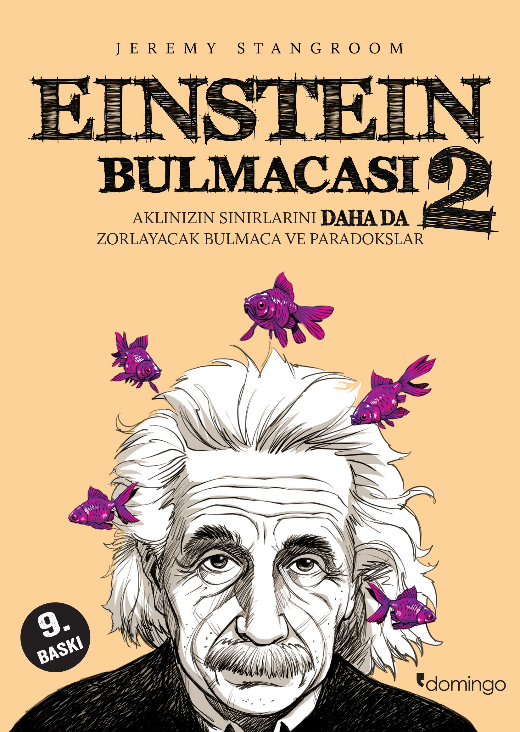 Einstein Bulmacası 2 - Aklınızın Sınırlarını Zorlayacak Bulmaca ve