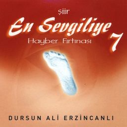 En Sevgiliye 7 / Hayber Fırtınası (Cd)