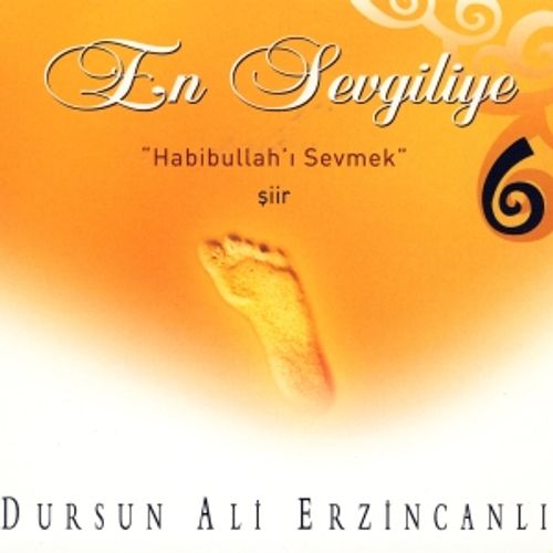 En Sevgiliye 6 / Habibullah'ı Sevmek (Cd)