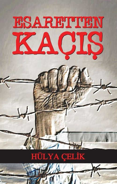 Esaretten Kaçış