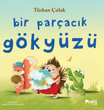 Bir Parçacık Gökyüzü