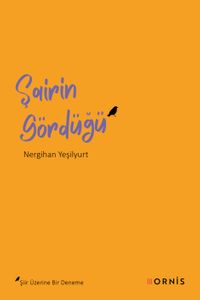 Şairin Gördüğü & Şiir Üzerine Bir Deneme